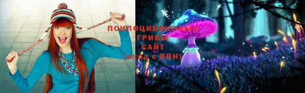 шишки Нея