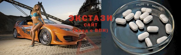 прущие грибы Сосновый Бор