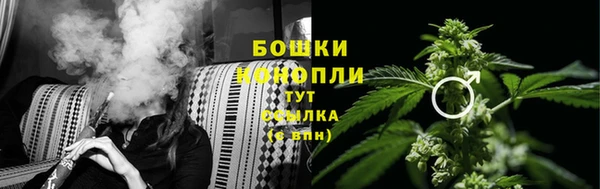 прущие грибы Северо-Курильск