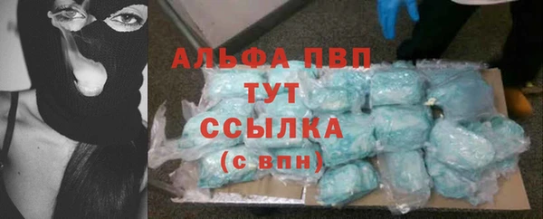 дмт Бикин
