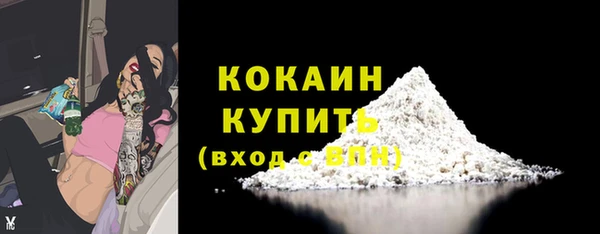 шишки Нея