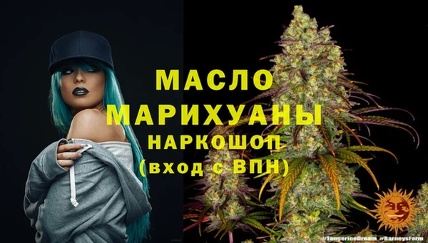 МДПВ Вяземский