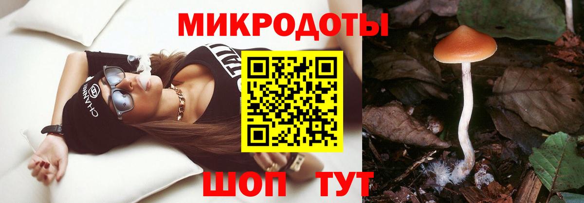 Псилоцибиновые грибы GOLDEN TEACHER  Псилоцибиновые грибы Cubensis  Вход с VPN  Азнакаево 